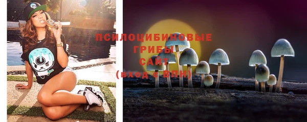гашик Баксан
