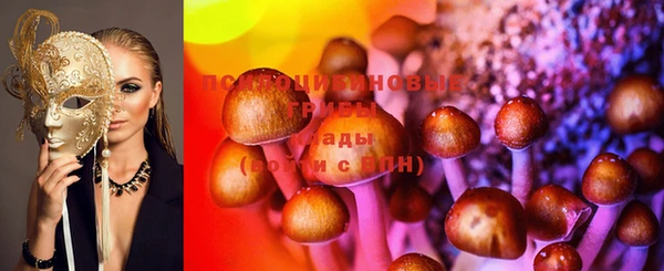 гашик Баксан