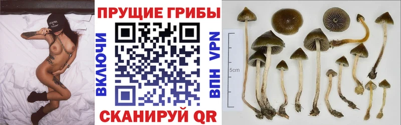 Галлюциногенные грибы Magic Shrooms  Феодосия 